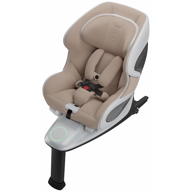 Babyark Premium Convertible Car Seat