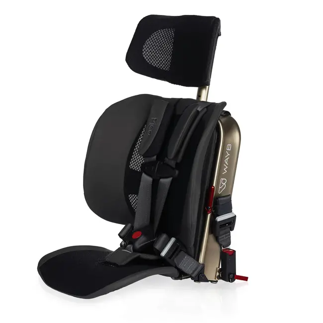 WAYB Pico Travel Car Seat