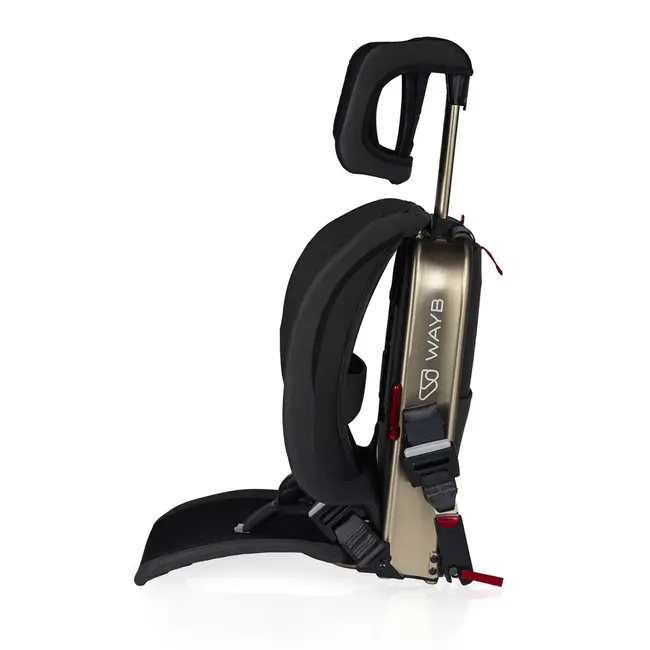 WAYB Pico Travel Car Seat