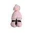 Winx + Blinx Hooded Towel