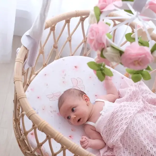 Living Textile Cotton Jersey Fiited Sheet- Fly Away