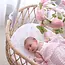 Living Textile Cotton Jersey Fiited Sheet- Fly Away