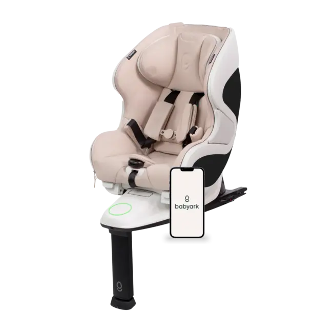 Babyark Smart Convertible Car Seat