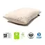 Naturepedic Organic Cotton Pillow Standard 20 x 26