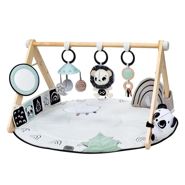 Tiny Love Developmental Gymini