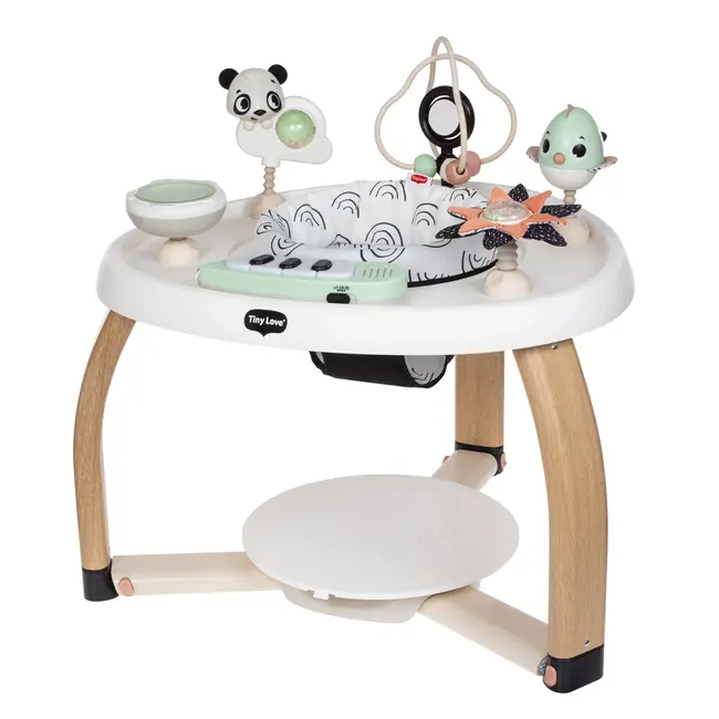 Tiny Love Stationary Activity Center