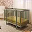 Baby Letto Pogo 8-in-1 Convertible Crib w/All-Stages Conversion Kits