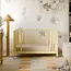 Baby letto Rolli 9-in-1 Convertible All-Stages Crib with Bassinet & Toddler Bed Conversion Kits