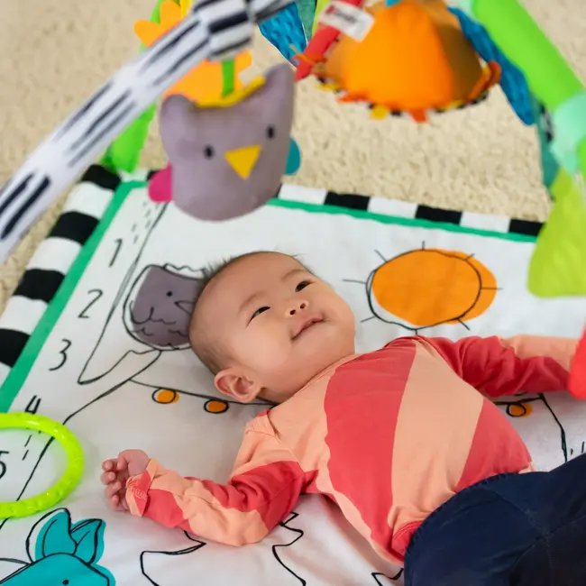 Sassy Gone Campin' Mat With Canopy