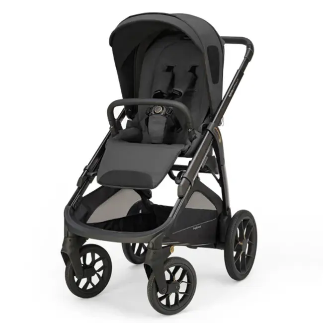 Inglesina Aptica XT Stroller With Bassinet And Stand