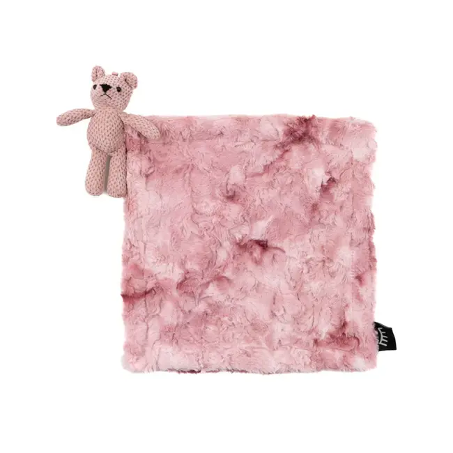 Winx & Blink Minky Lovey