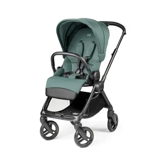 Peg-Perego Peg Perego Switch Single Stroller With Reversible Handle