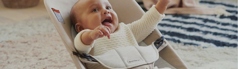 Baby Bjorn Bouncer