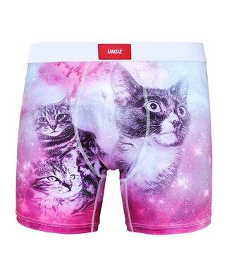UNDZ UNDZ - CATS BOXER