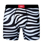 UNDZ - ZEBRA BOXER