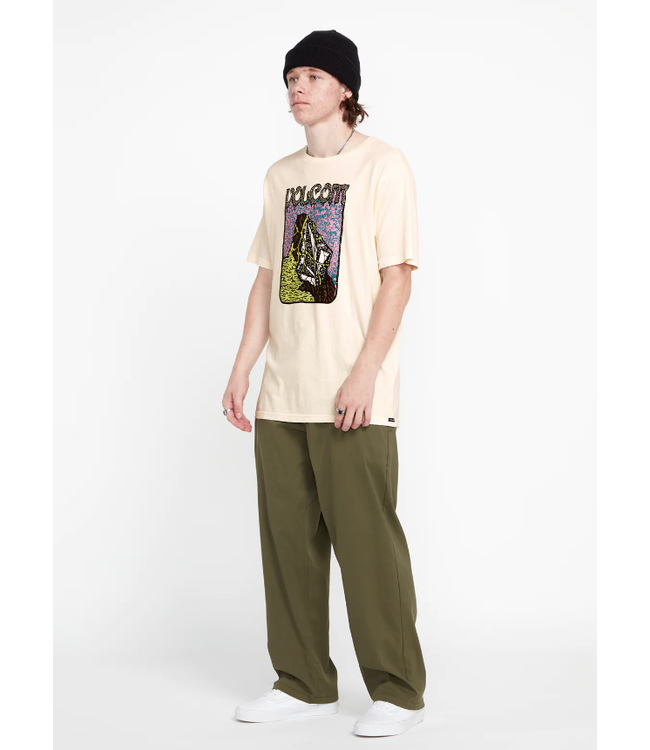 VOLCOM VOLCOM - SKATE VITALS MAJERUS PANTALON (MOUSSE HIVER)
