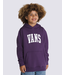 VANS VANS - ARCHED II SWEAT À CAPUCHE POUR ENFANT (RAISIN GOTHIQUE)