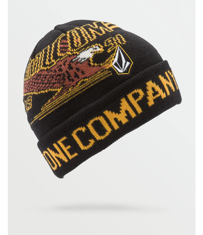 VOLCOM VOLCOM - DIVE STONE TUQUE (NOIR)
