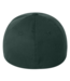 ROOKERY ROOKERY - UNLUCKY FLEXFIT CAP (FOREST GREEN)