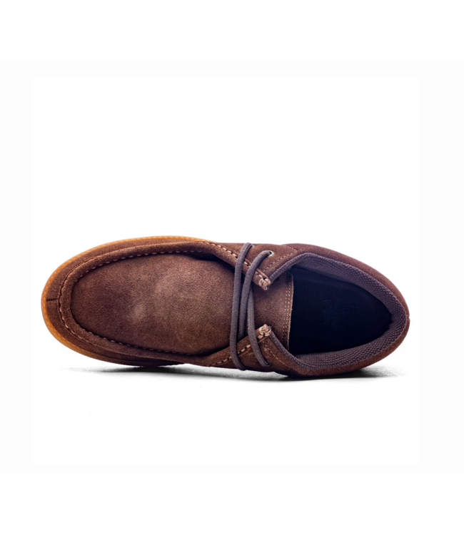 IPATH IPATH - CATS (BROWN)