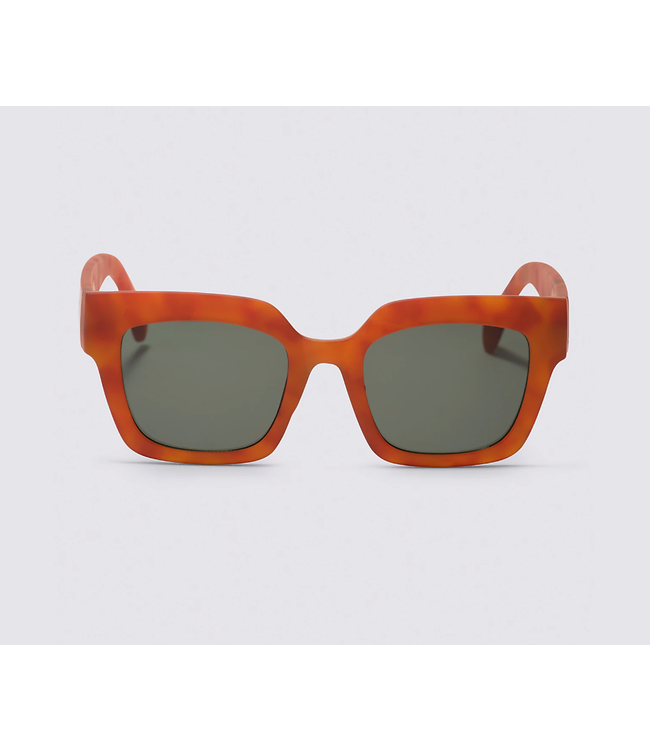 VANS VANS - BELDEN SHADES