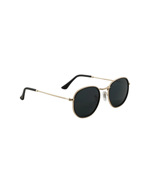 GLASSY GLASSY - HUDSON POLARIZED (BLACK/ GOLD)