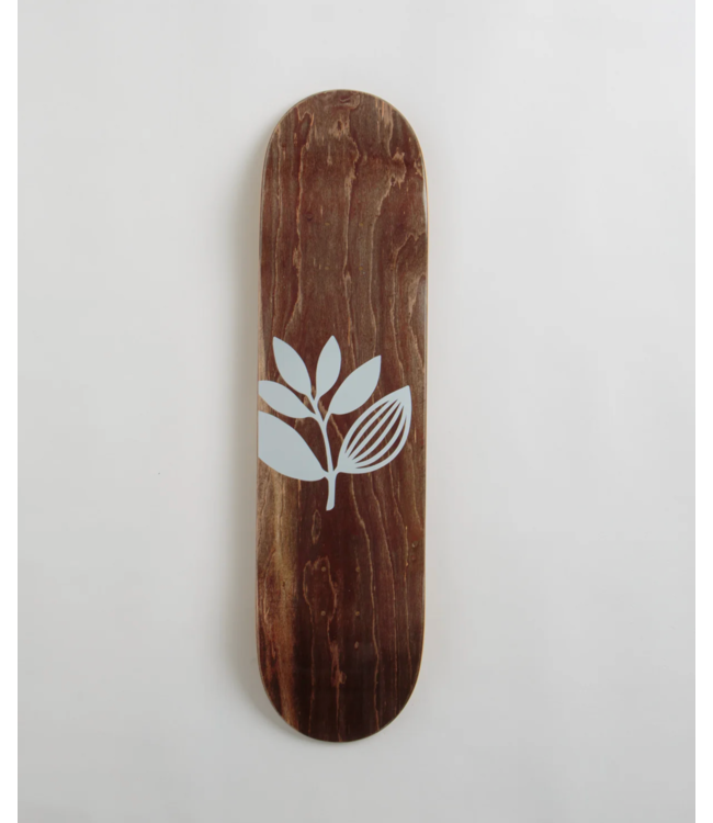 MAGENTA MAGENTA - BIG PLANT PLANCHE TEAM (ASST.)