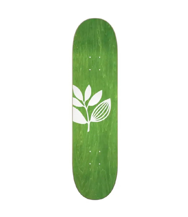 MAGENTA MAGENTA - BIG PLANT TEAM DECK (ASST.)