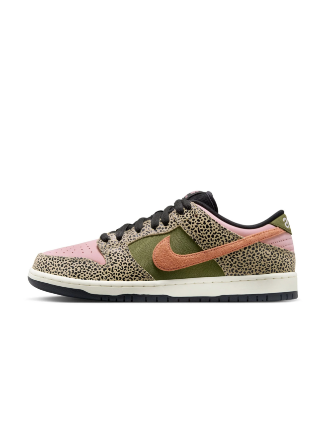 Arts Rec × Nike SB Dunk Low Pro Arts-Rec Nike SB Dunk Low IH3211-200