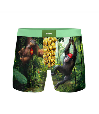 UNDZ UNDZ - KONG BOXER