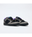 NIKE SB NIKE SB - DUNK LOW PRO (DASHAWN JORDAN)