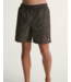 VANS VANS - PRIMARY II ELASTIC BOARDSHORT (CAMO)