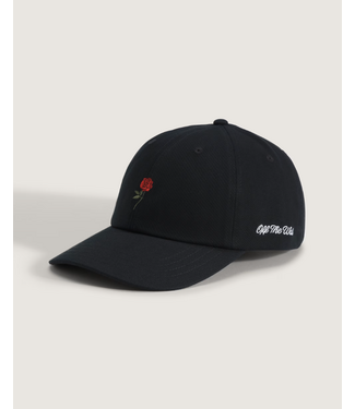 VANS VANS - CALL IT A DAY CURVED BILL STRAPBACK CAP