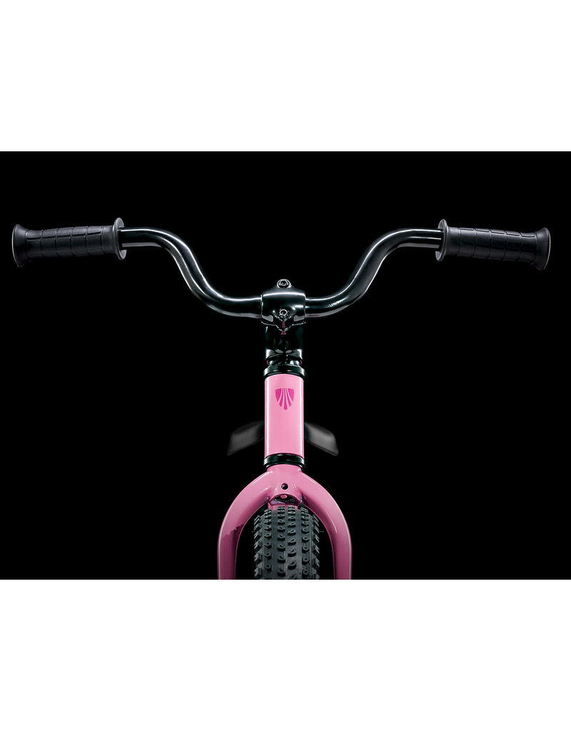 TREK PRECALIBER 16 KIDS BIKE
