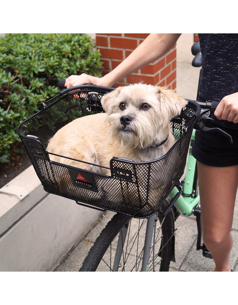 Axiom Axiom Dual Function Premium Pet Basket Black