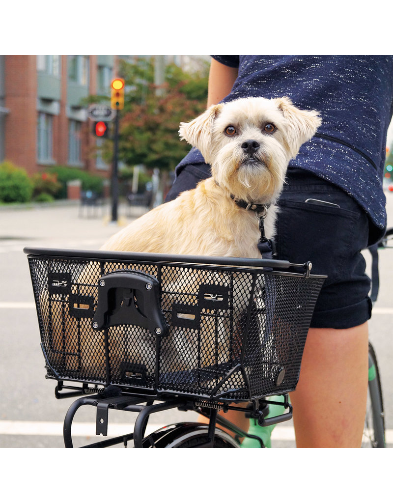 Axiom Axiom Dual Function Premium Pet Basket Black
