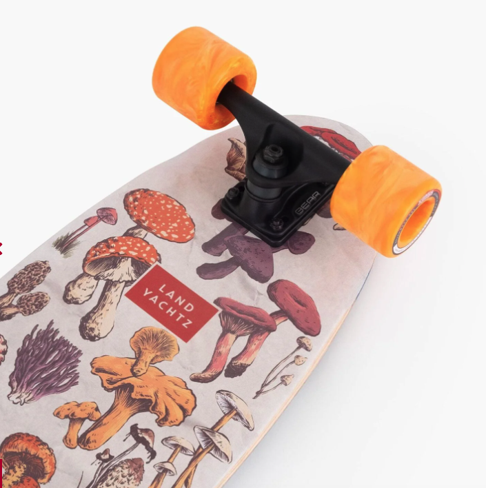 Landyachtz Landyachtz Ripper Complete– Forager