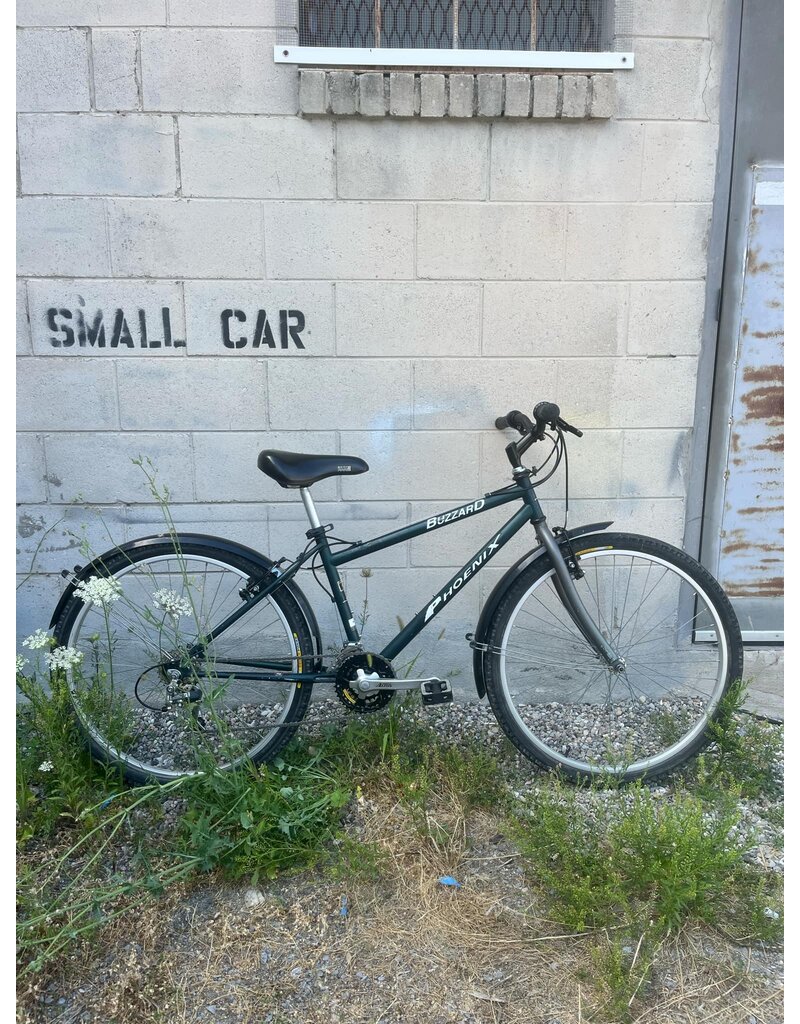 REFURBISHED Phoenix Buzzard MTB Dark Green 14" w/ Fenders.