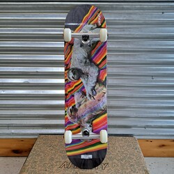 Landyachtz Sloth 7.75 Complete - Bullet Trucks / OJs 53mm Wheels