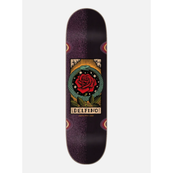 Santa Cruz Pro Delfino Ouroboros 8.25x31.6