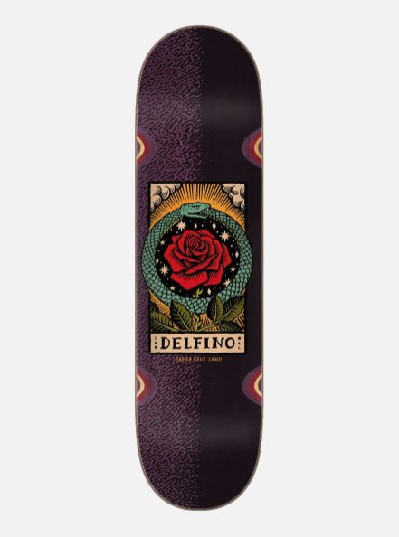 Santa Cruz Pro Delfino Ouroboros 8.25x31.6