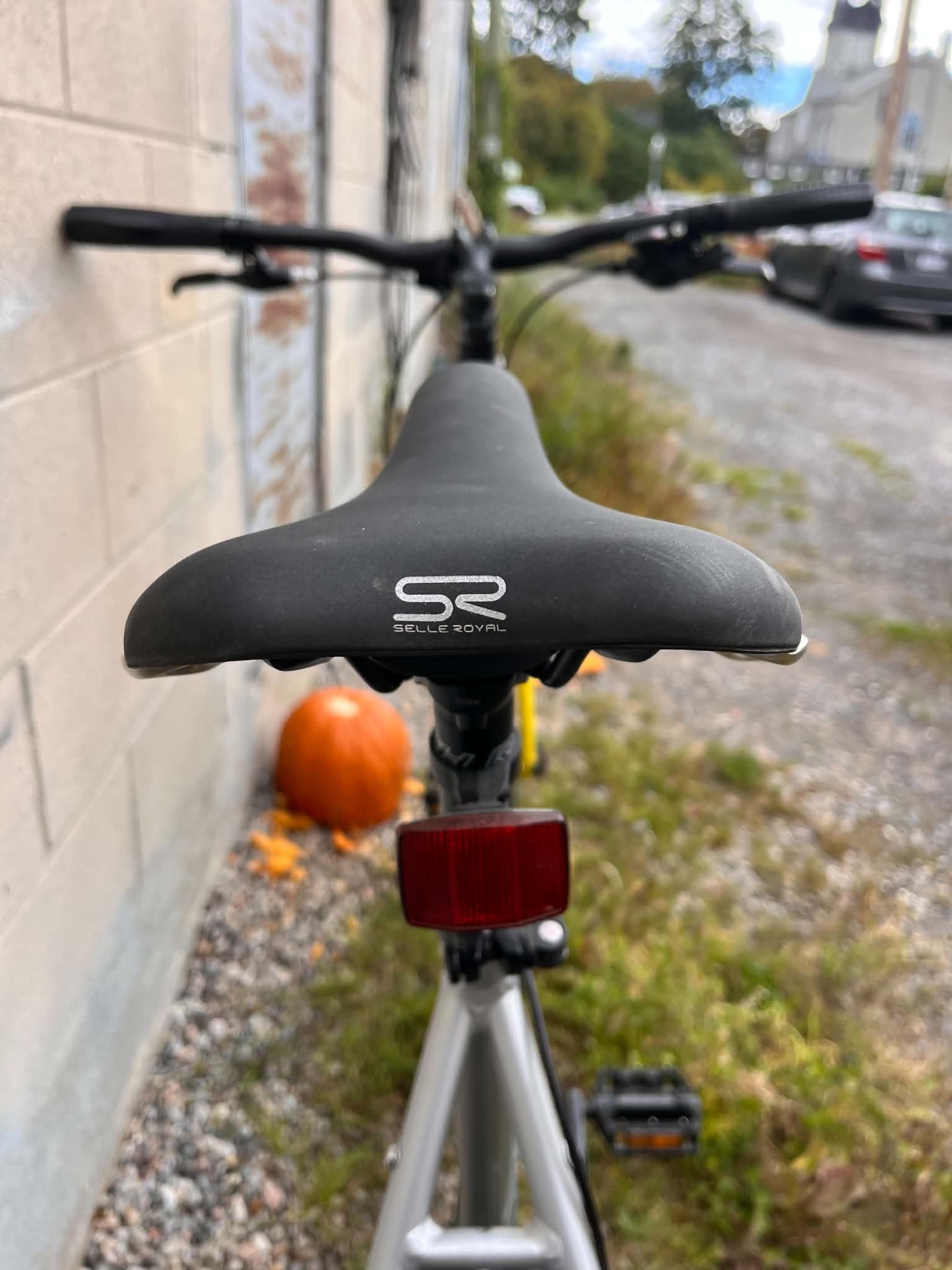 Refurbished Raleigh Redux Silver L ( 20")  650B