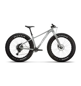 Devinci Devinci Minus NX 12s Silver