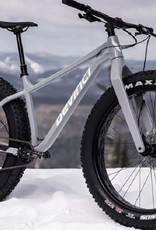 Devinci Devinci Minus NX 12s Silver