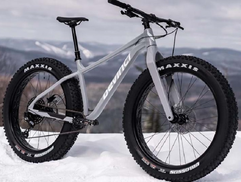 Devinci Devinci Minus NX 12s Silver