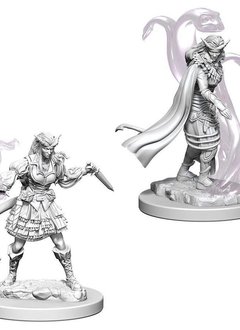 Tiefling Female Sorcerer D&D NMM Unpainted: Wave 4