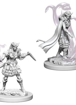 Tiefling Female Sorcerer D&D NMM Unpainted: Wave 4