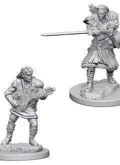 D&D NMM Unpainted: Wave 4: Human Male Bard
