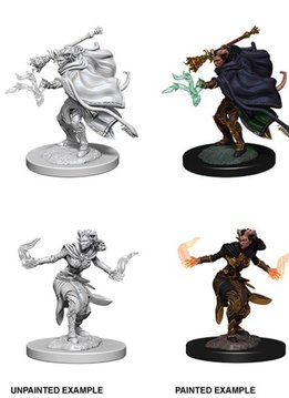 Unpainted Miniatures - Female Tiefling Warlock