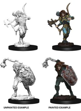 PF Unpainted Minis: Elf Male Fighter Wave 6